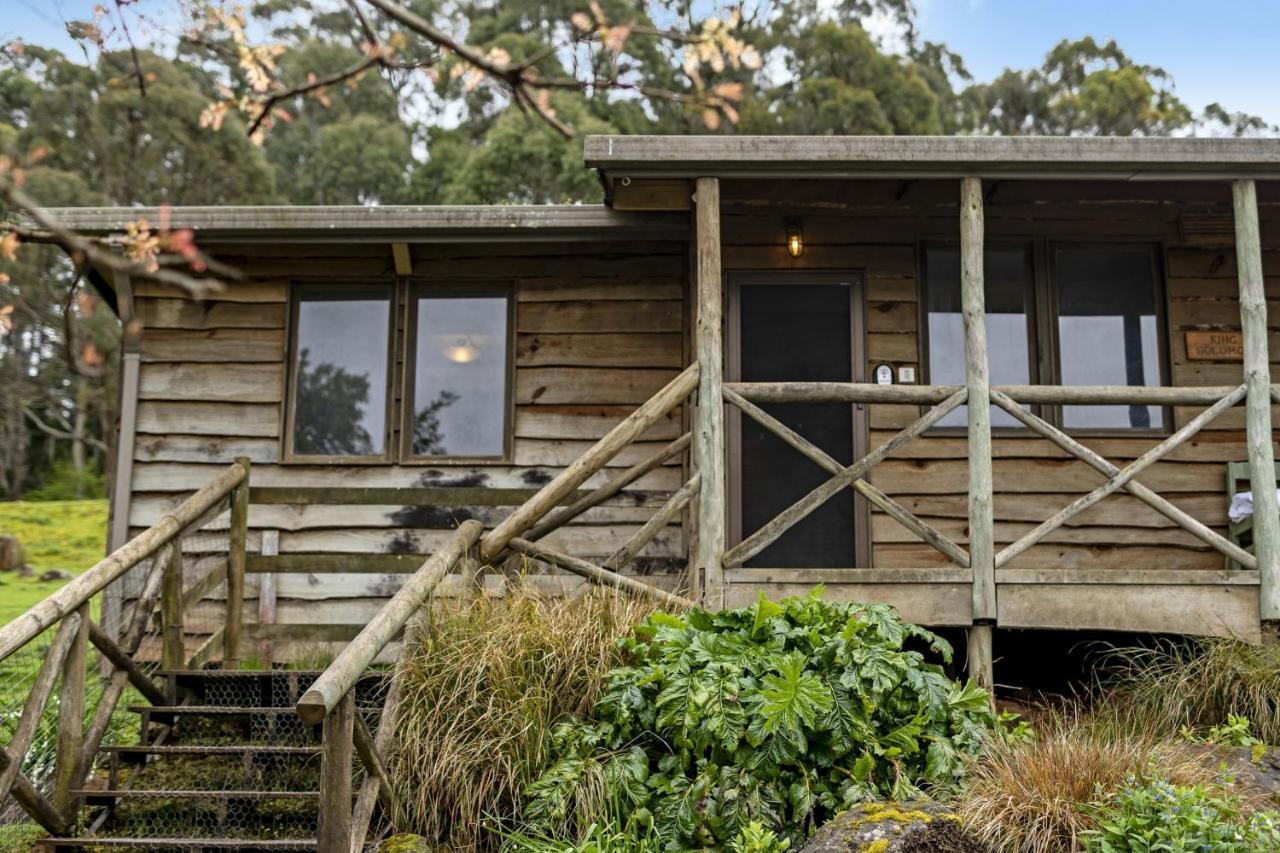 Mole Creek Cabins Eksteriør bilde